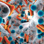 bacteria-scaled-down_525x525
