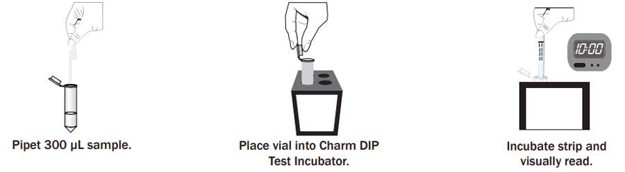 Charm Dip Test Simple Procedure
