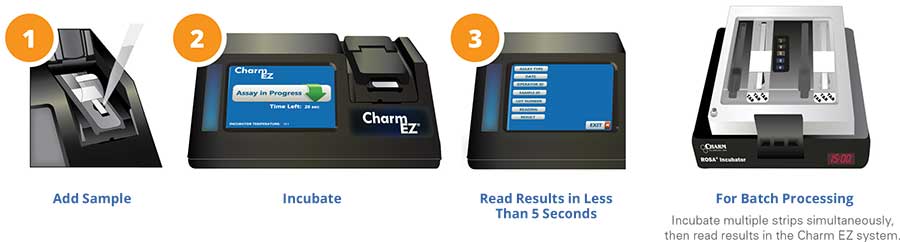 Simple Procedure with the Charm EZ System
