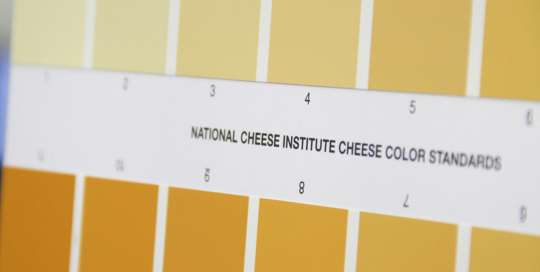 Feature_Color_dairy-540×272-1