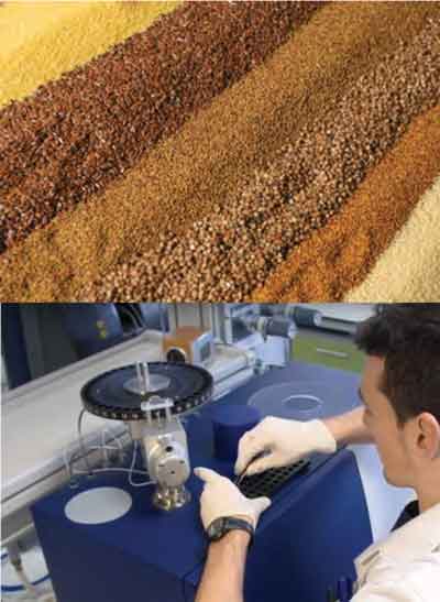 How to get your protein in just 3 minutes How to get your protein in just 3 minutes?