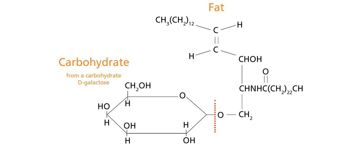Acid hydrolysis