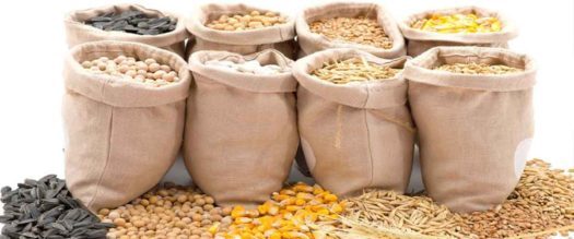 Mycotoxin Testing