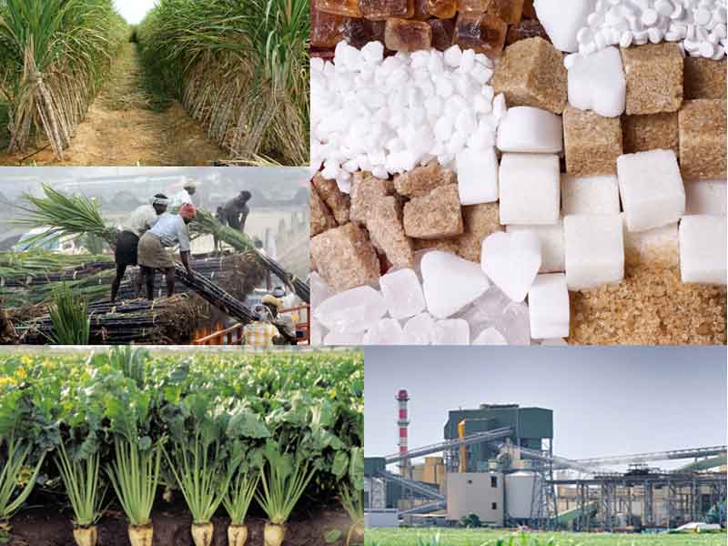 NIR (Near Infrared) Teknologi untuk Reduksi Biaya dan Peningkatan Sugar Milling Efisiensi